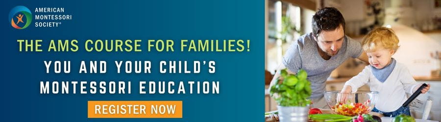 Montessori Parent Course Early Childhood